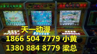 小型雙人打魚游戲機(jī)的價格及廣州番禺區(qū)市橋王訊動漫產(chǎn)品開發(fā)部的相關(guān)介紹